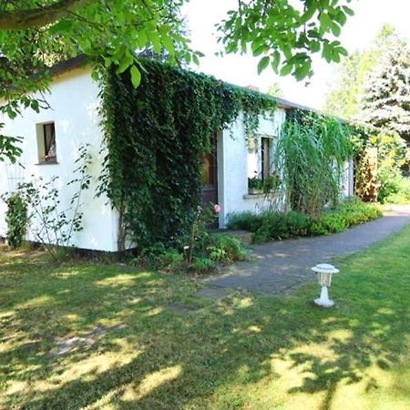 Ferienhaus Mit Garten Am Bodstedter Bodden Eksteriør bilde