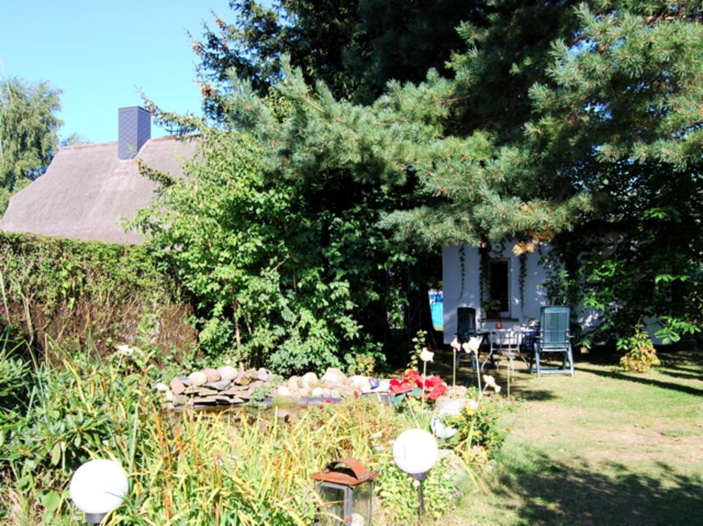 Ferienhaus Mit Garten Am Bodstedter Bodden Eksteriør bilde
