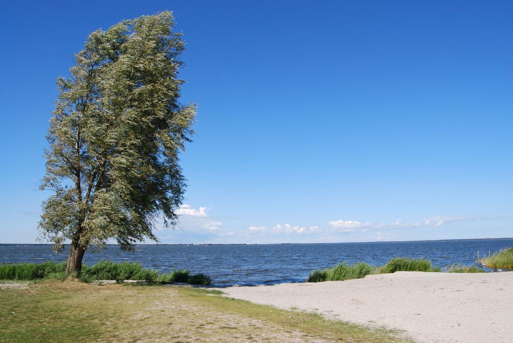 Ferienhaus Mit Garten Am Bodstedter Bodden Eksteriør bilde